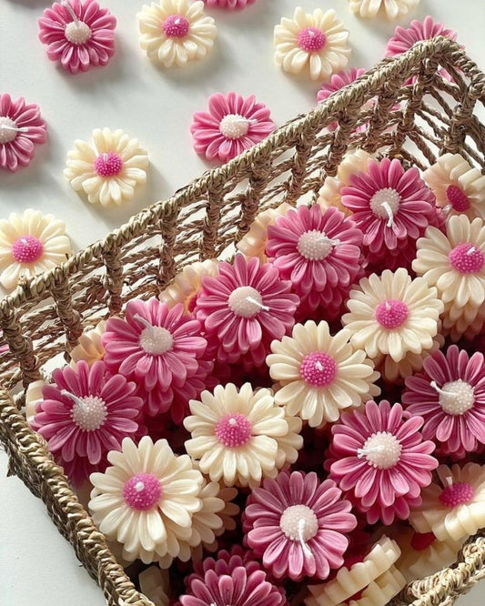 Daisy & Sunflower Floating Candles | Scented Soy Wax | Set of 6